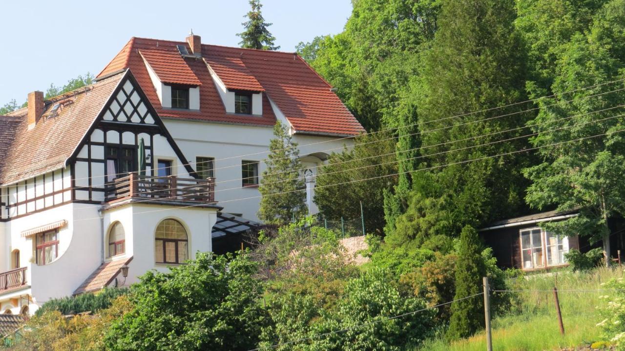 Ferienhaus Elbsommer Am Weinberg II Meißen Exterior foto