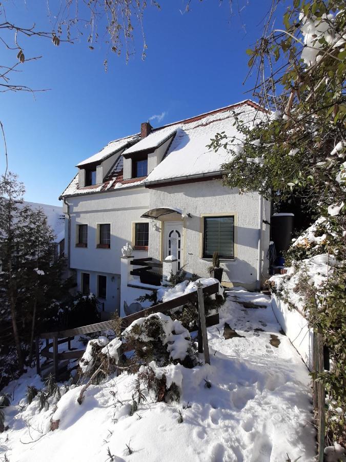 Ferienhaus Elbsommer Am Weinberg II Meißen Exterior foto